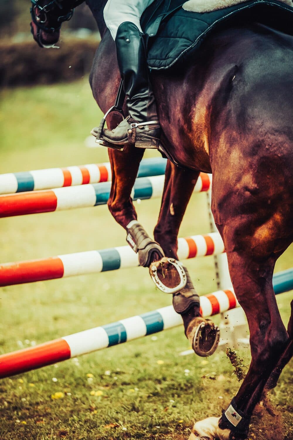 Saut d'obstacles
